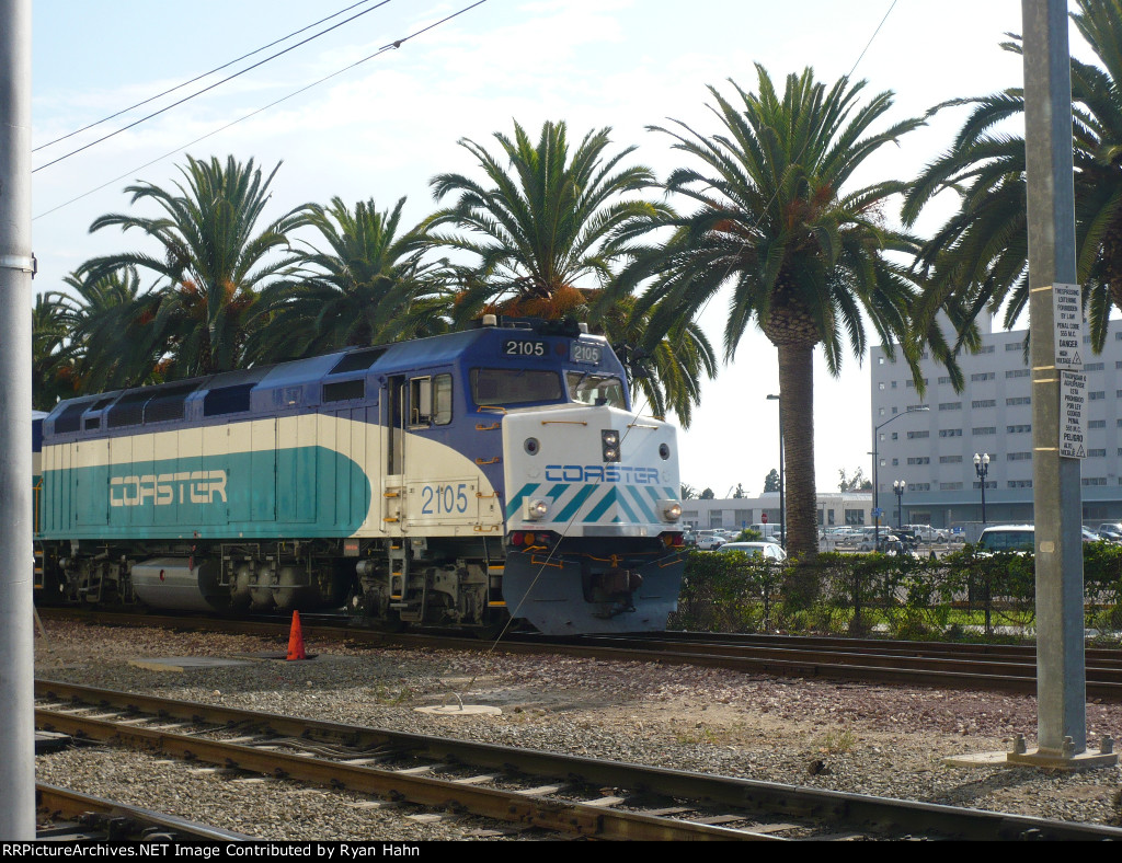 F40 & Palm Trees